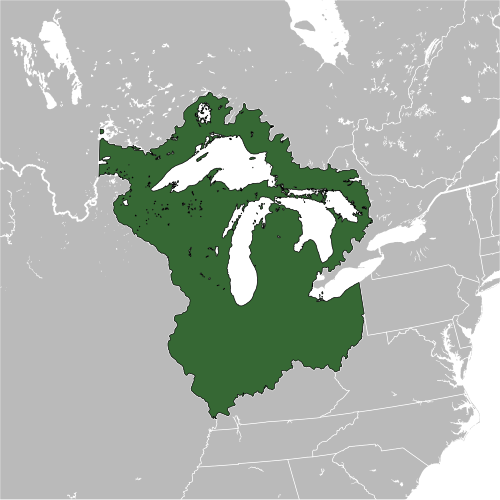 Tecumseh Confederacy